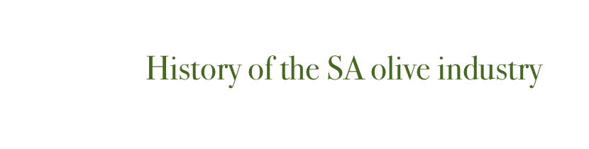 South Australian Olive History